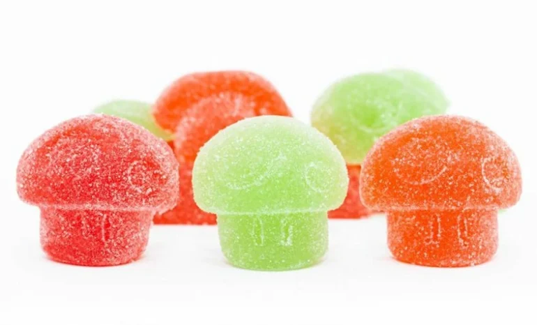 Benefits of Magic Mushroom