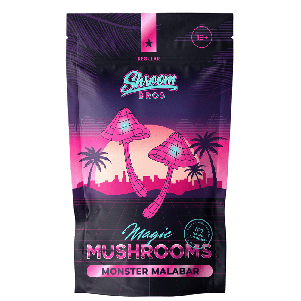 Malabar magic mushrooms